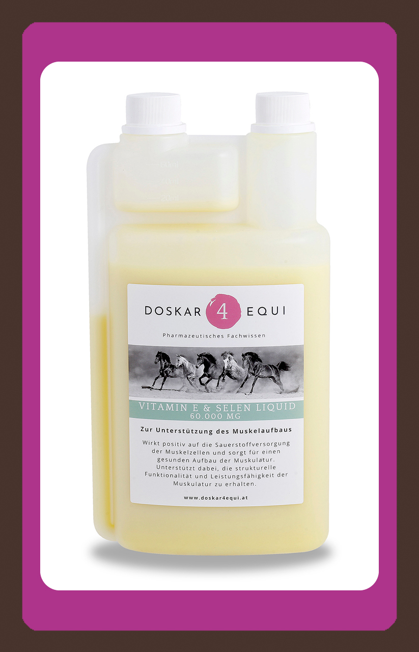 Produkt Muskulatur Pferd Doskar4Equi