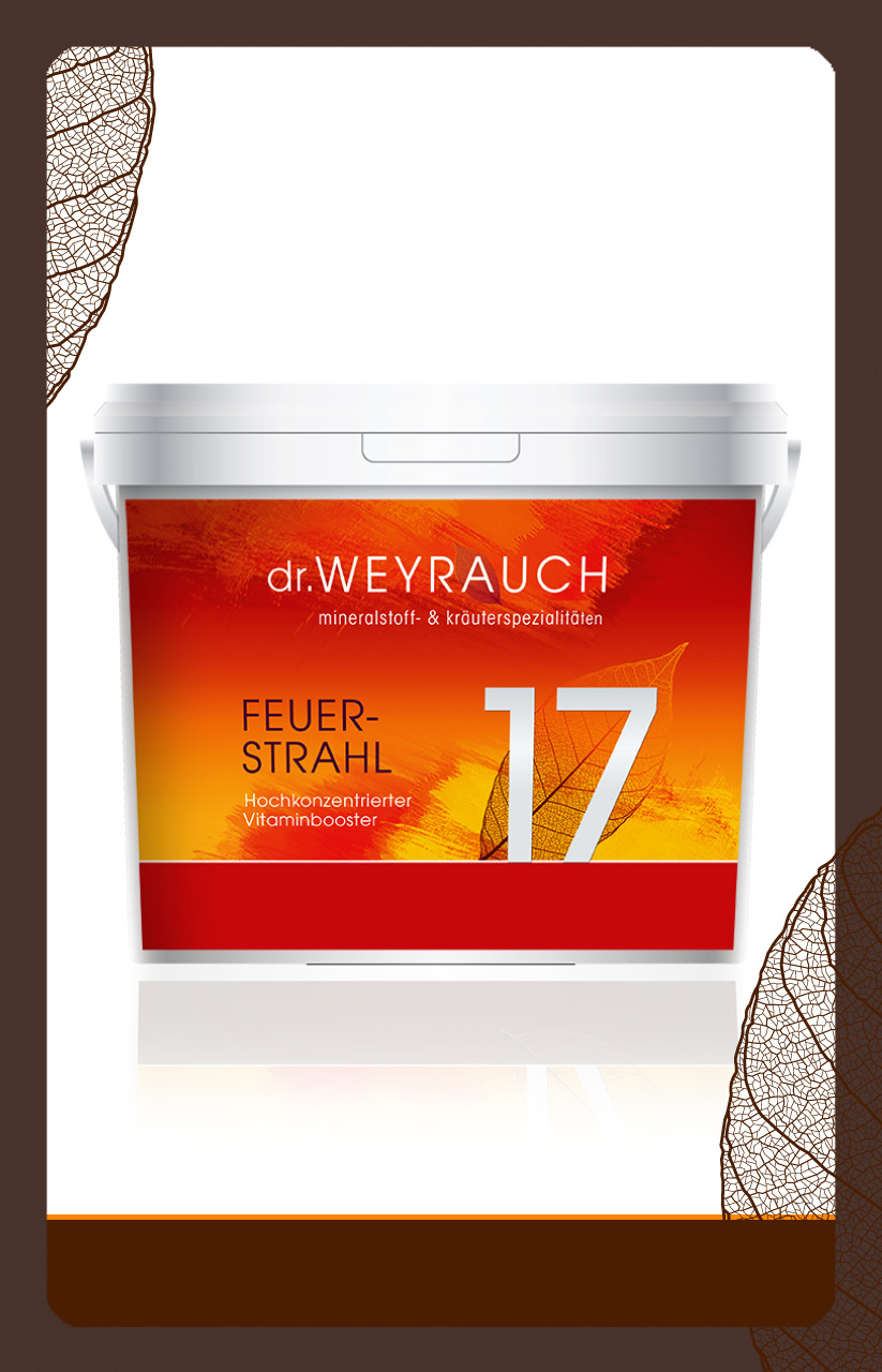 produkt Feuerstrahl Nr.17 1kg