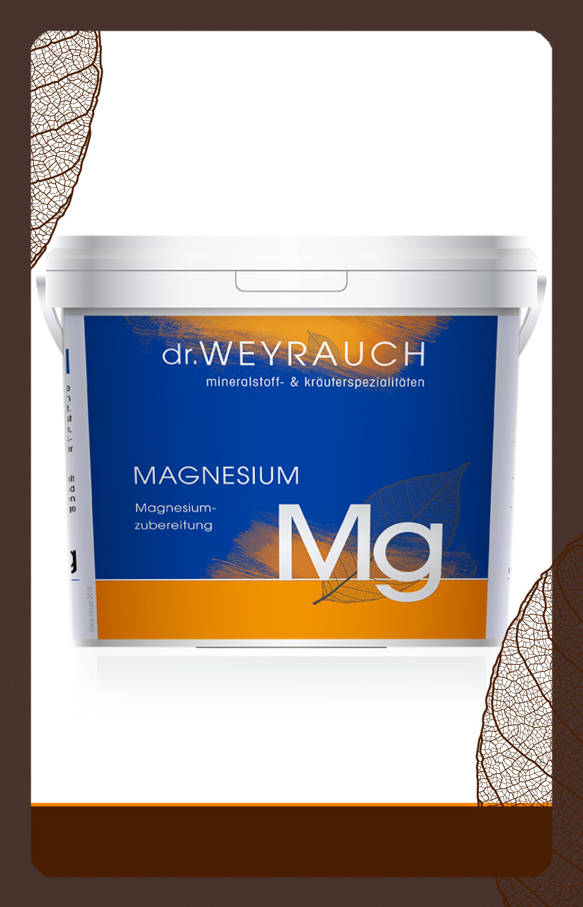 produkt muskulatur Magnesium Mg 10kg