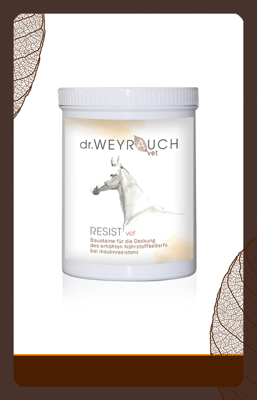 produkt insulinresistenz Resist vet 1kg
