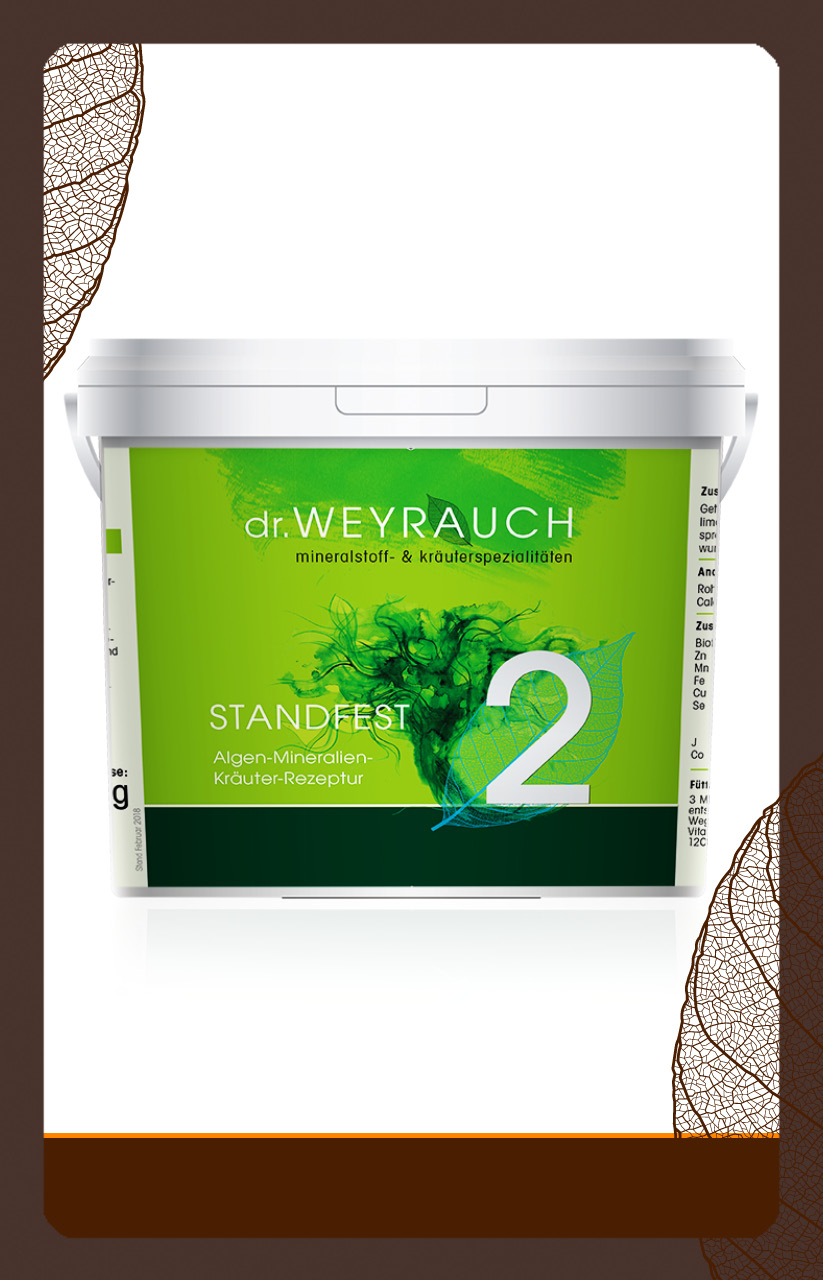 produkt Standfest Nr.2 5kg