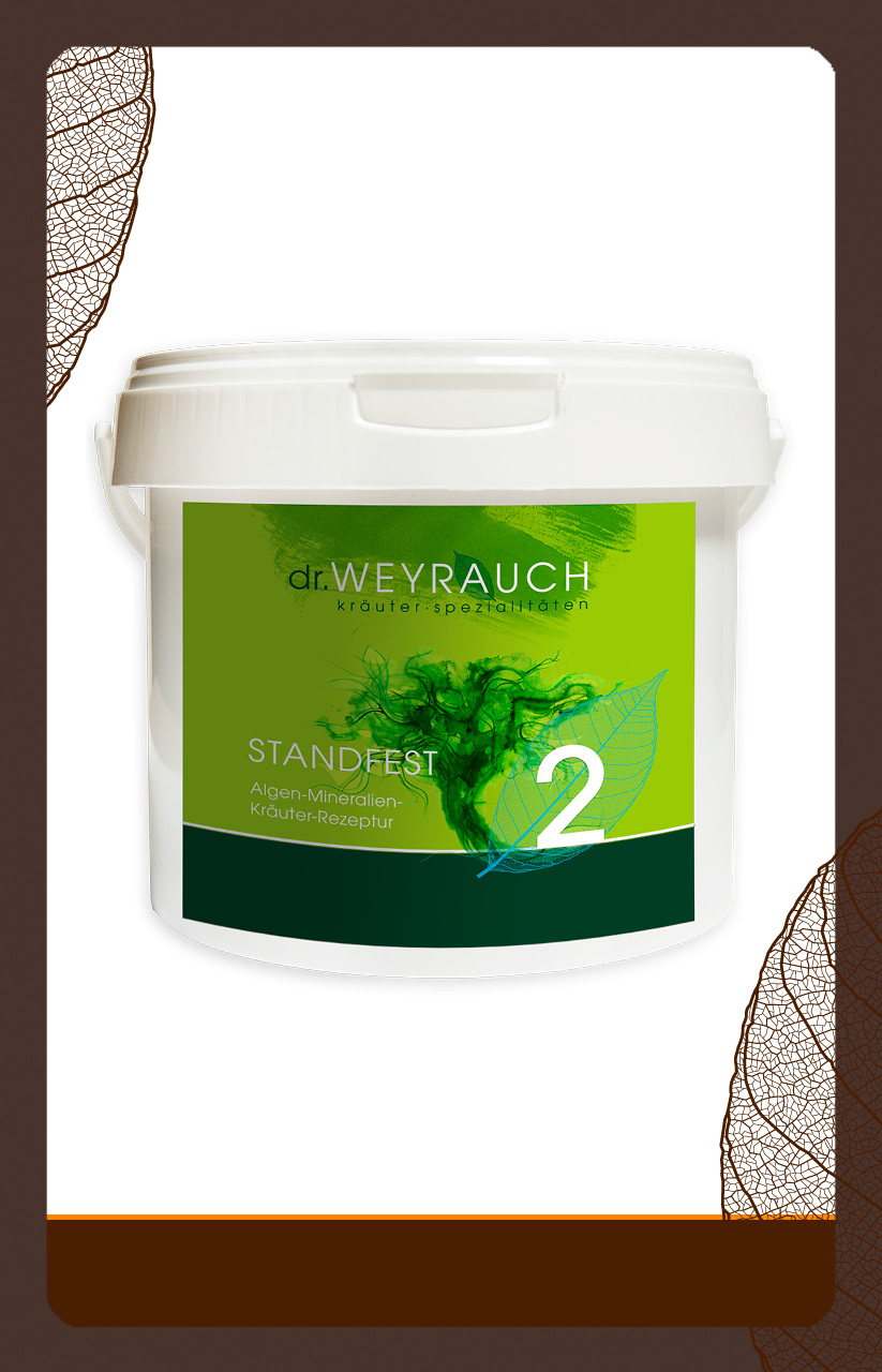 produkt Standfest Nr.2 1,5kg