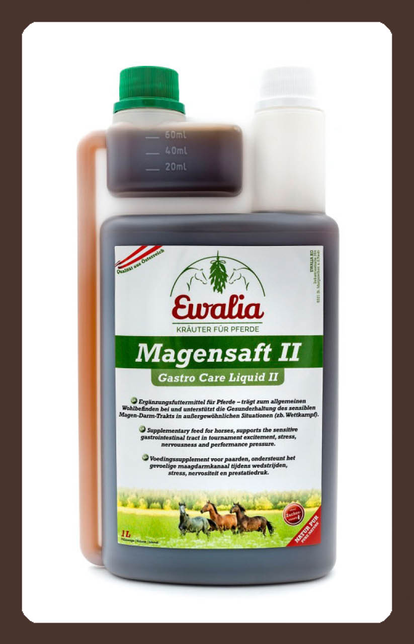 produkt ewalia Magensaft II 1l
