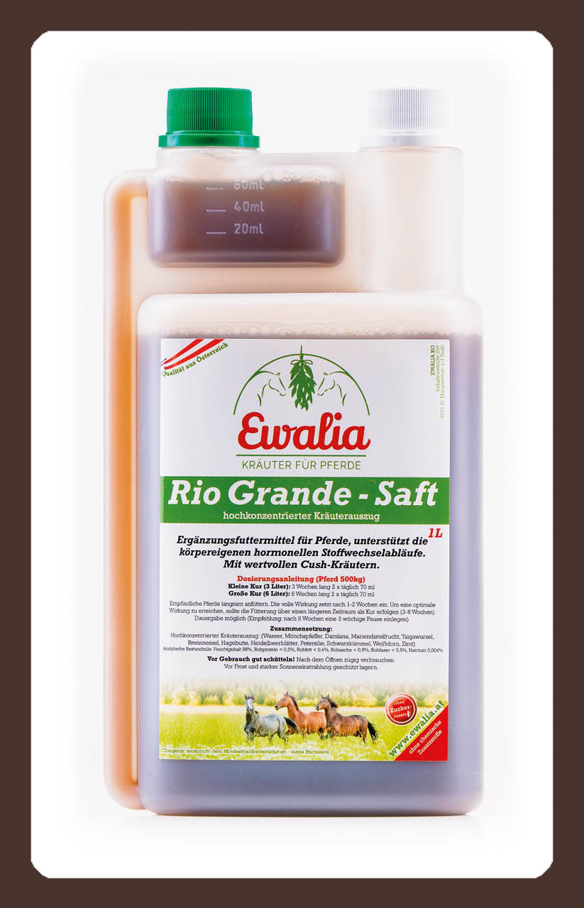 produkt ewalia Rio Grande Saft 1l
