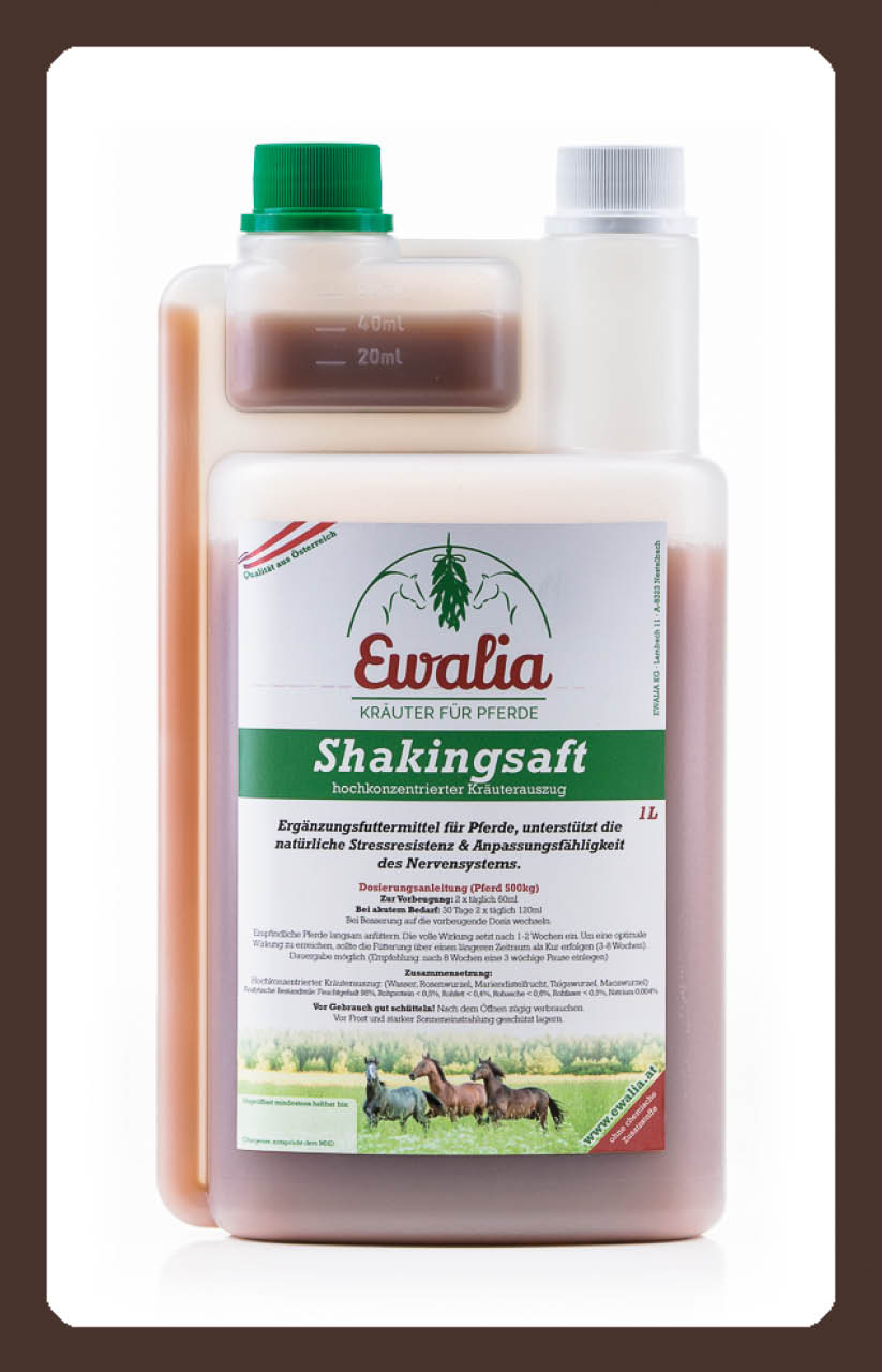 produkt ewalia Shakingsaft 1l