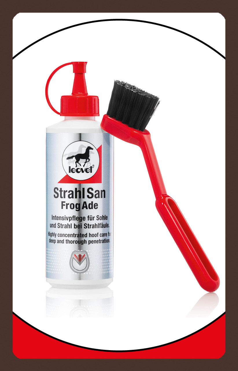 produkt Strahlsan Pinsel 200ml