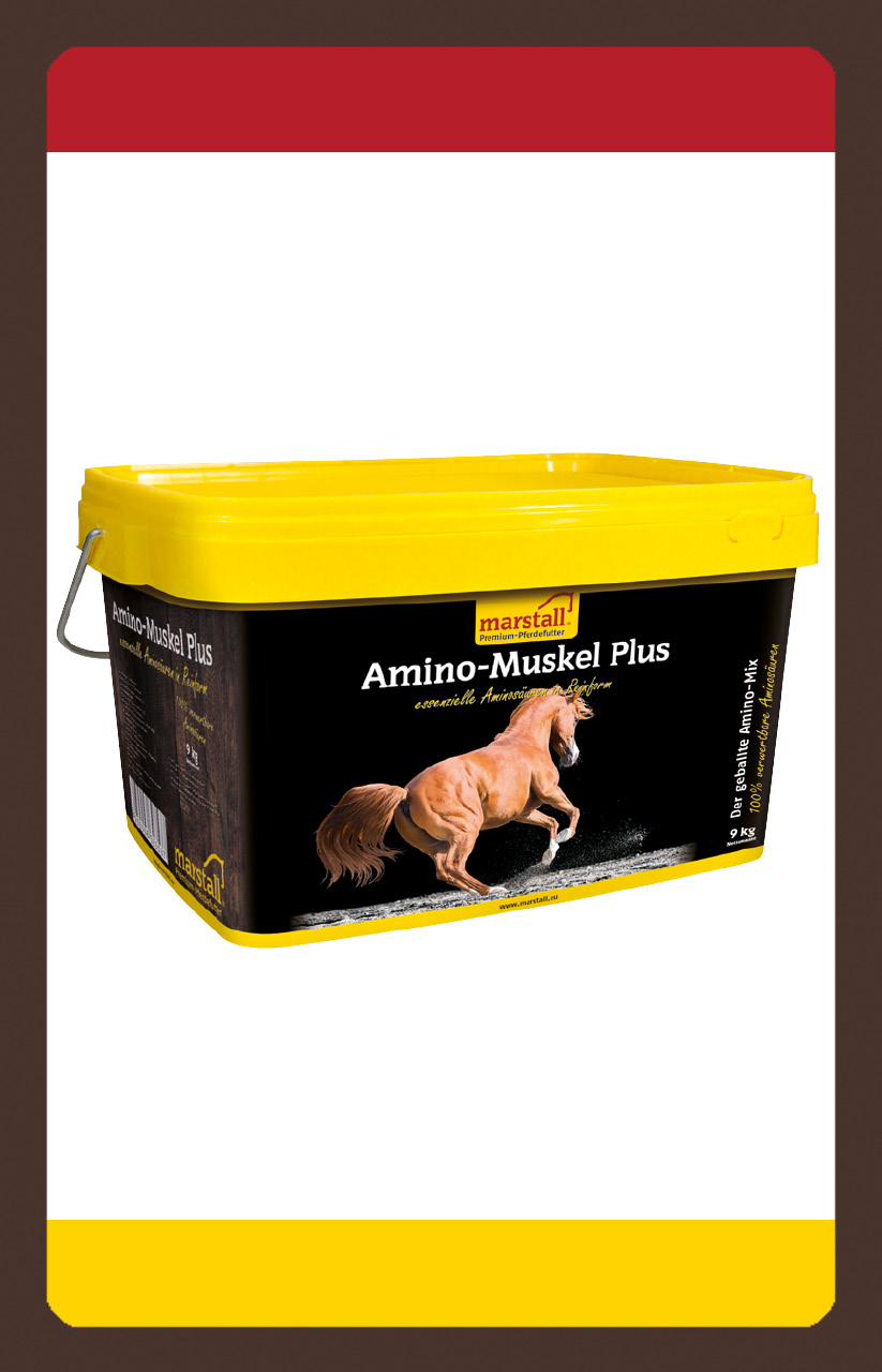 produkt muskulatur sport freizeit Amino-Muskel-Plus 3,5kg