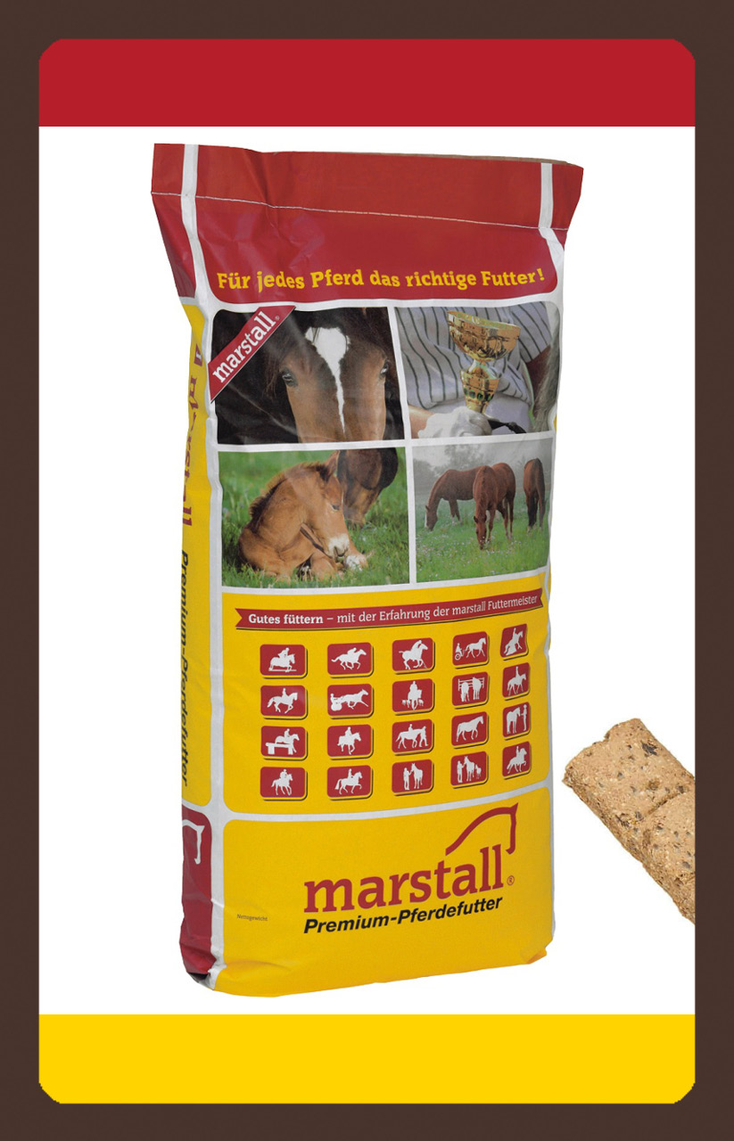 produkt leckerli Bonus Leinsnack 20kg