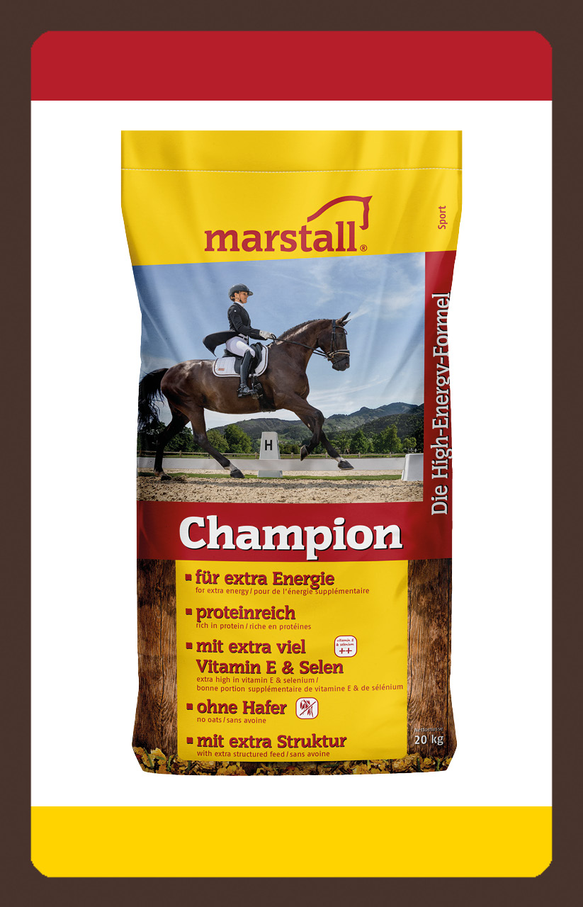 produkt muskulatur sport Champion 20kg