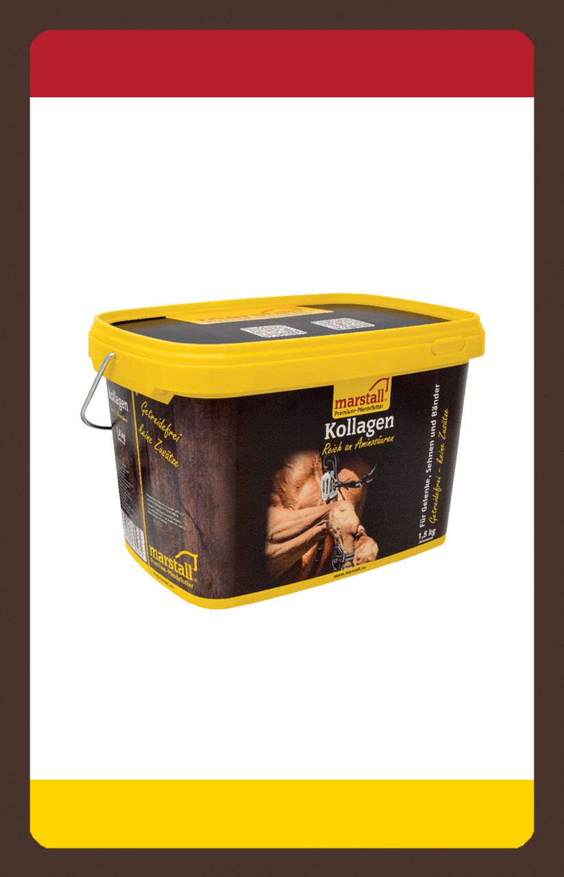 produkt bewegung senior sport Kollagen 1,5kg