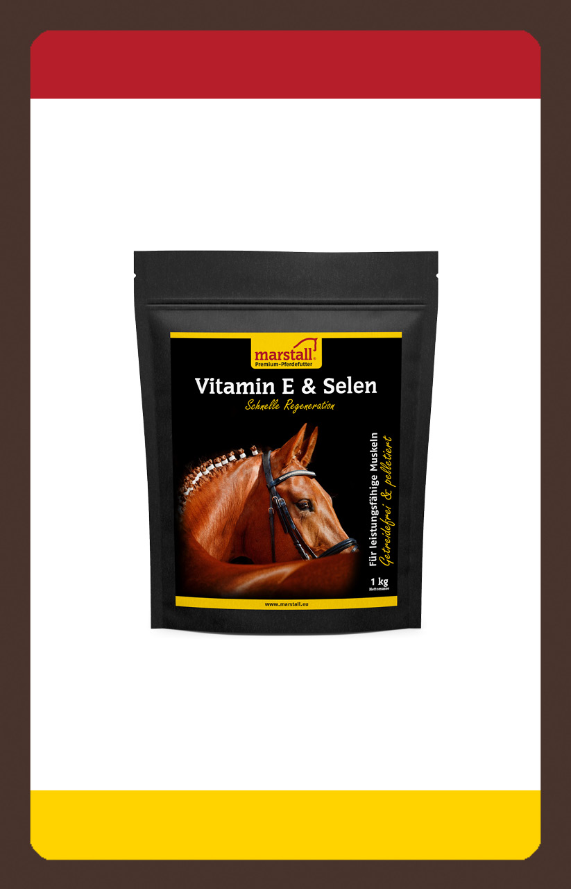 produkt muskulatur sport Vitamin E+Selen 1kg