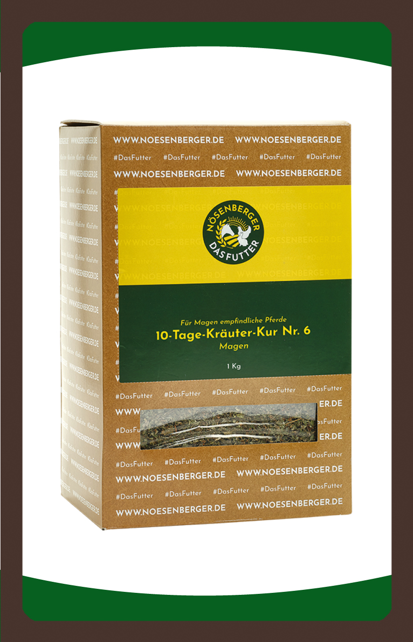 Pfefferminzblätter Kamillenblüten Anis Fenchel Kümmel Nösenberger Kräuter Nr.6 Magen 1kg