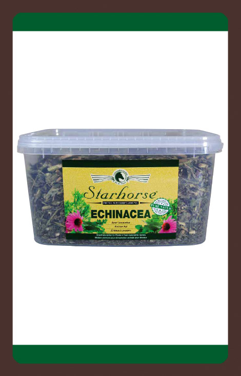 produkt Echinacea 750g