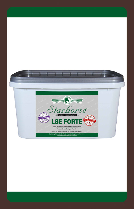 produkt Lysin Forte 600g