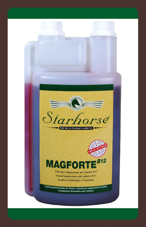 produkt MagForte B12 1l