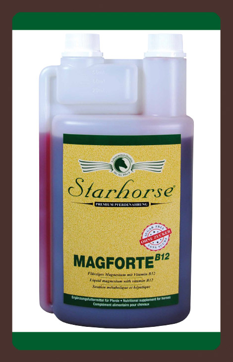 produkt MagForte B12 1l