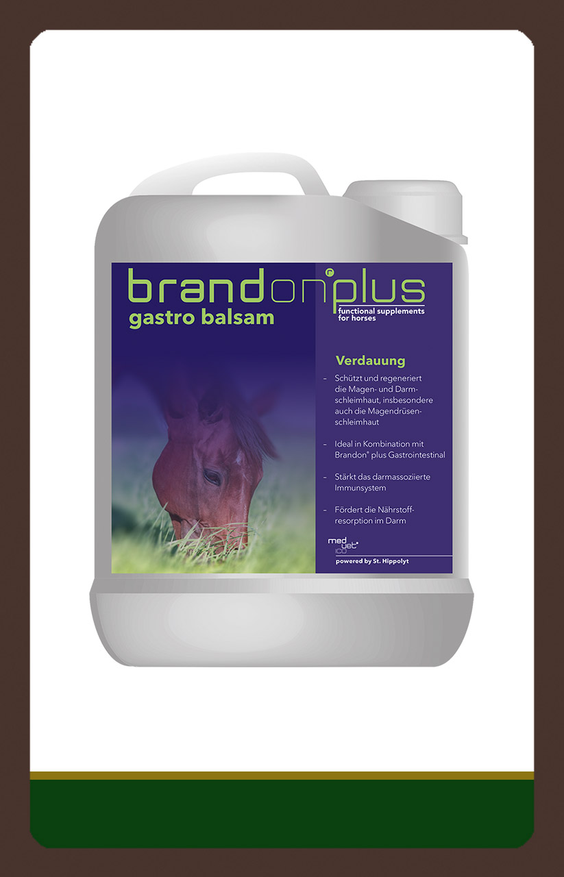 produkt BrandonPlus GastroBalsam 2,5l