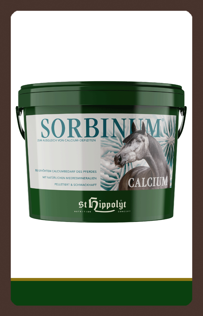 produkt Sorbinum Calcium 10kg