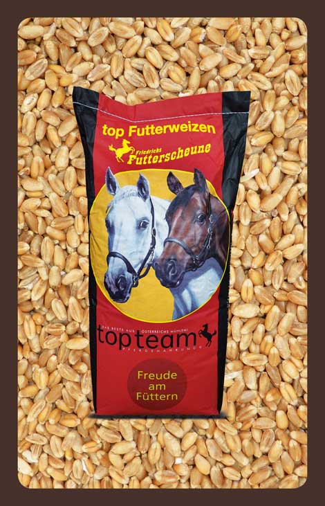 produkt getreide top Futterweizen