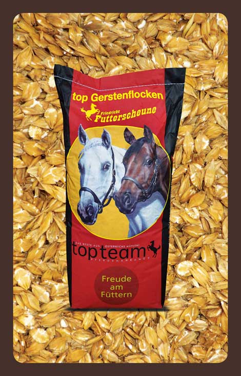 produkt getreide top Gerstenflocken