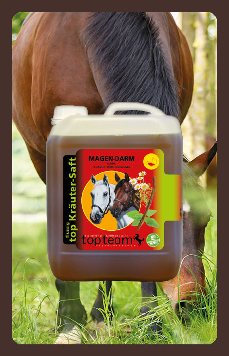 produkt Kräutersaft top Magen-Darm Schutz