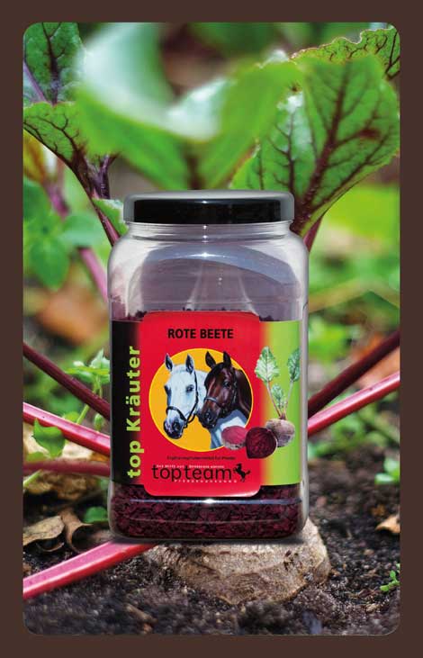 produkt kraeuter top Rote Beete